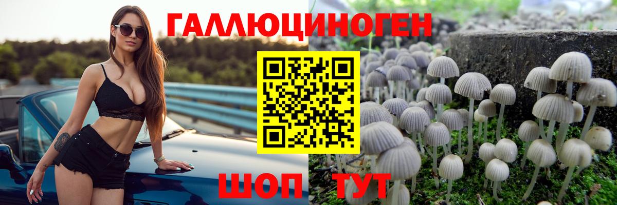Сухой Лог  Галлюциногенные грибы MAGIC MUSHROOMS  Псилоцибиновые грибы MAGIC MUSHROOMS  Вход с VPN 