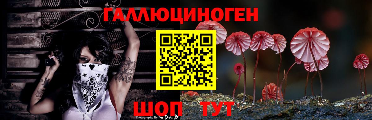 Галлюциногенные грибы GOLDEN TEACHER Сухой Лог